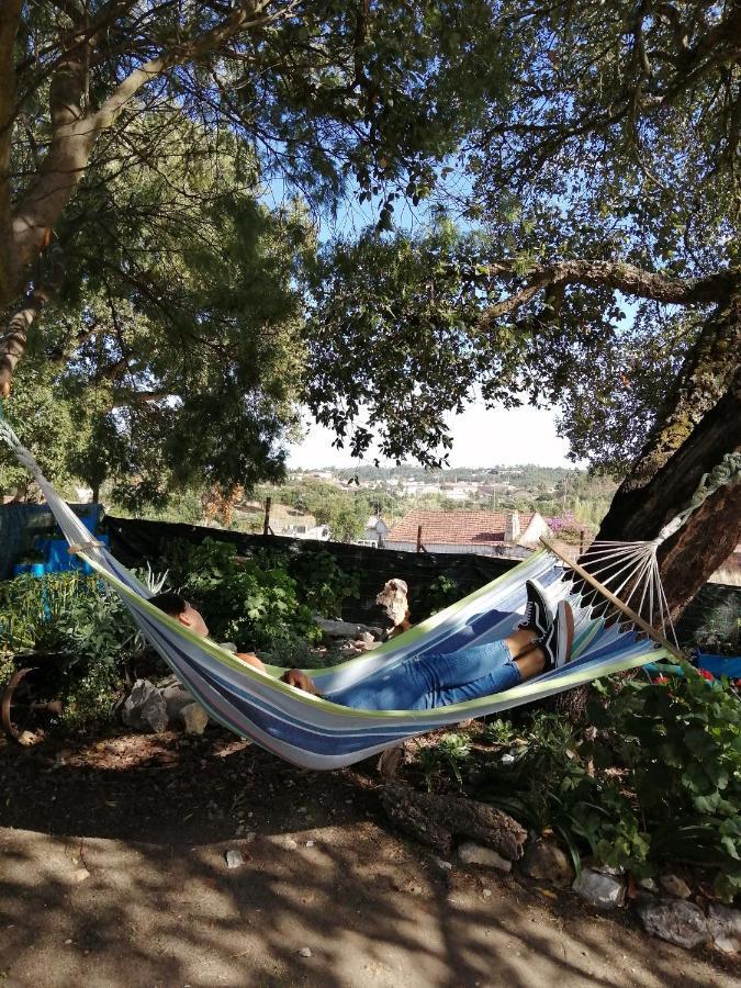 Amiais de Cima Turismo Rural Casa Da Ceu מראה חיצוני תמונה