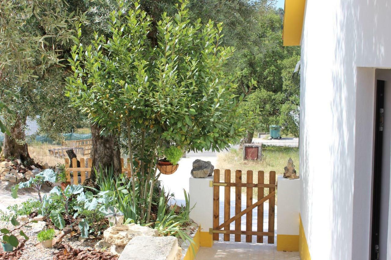 Amiais de Cima Turismo Rural Casa Da Ceu מראה חיצוני תמונה